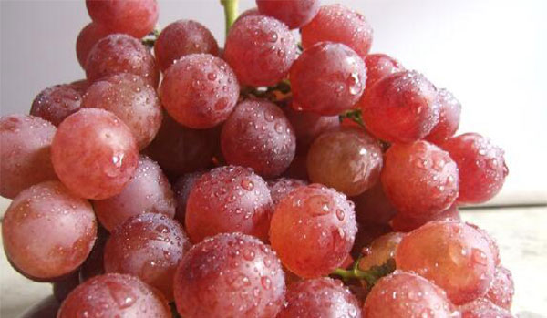 ���ӵĹ�Ч������ �ļ������ӵĺô�